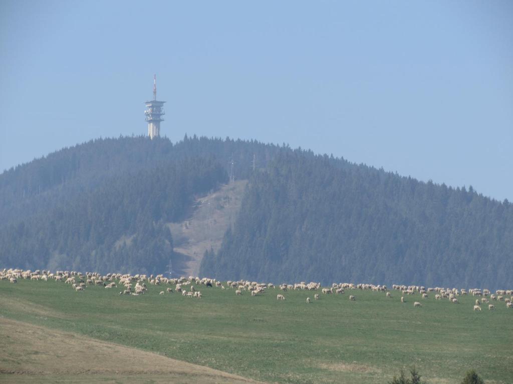 Penzion Ustie Trstená Exterior foto